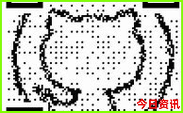 茶山附近有什么好玩的地方